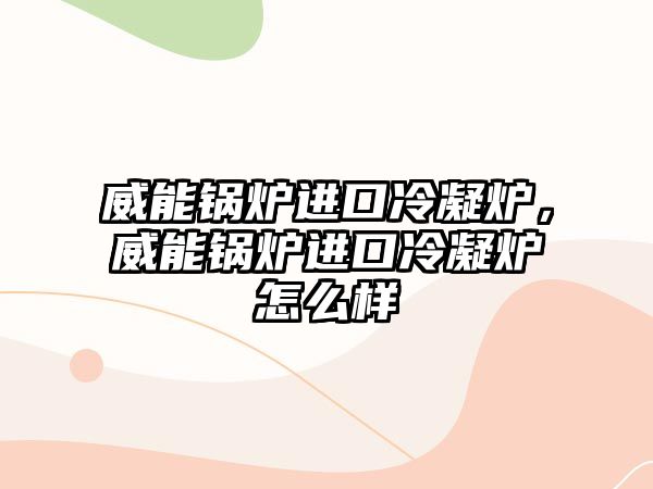 威能鍋爐進口冷凝爐，威能鍋爐進口冷凝爐怎么樣