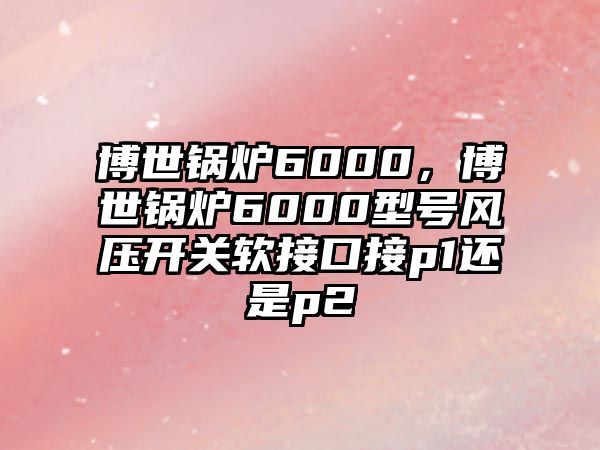 博世鍋爐6000，博世鍋爐6000型號風壓開關軟接口接p1還是p2