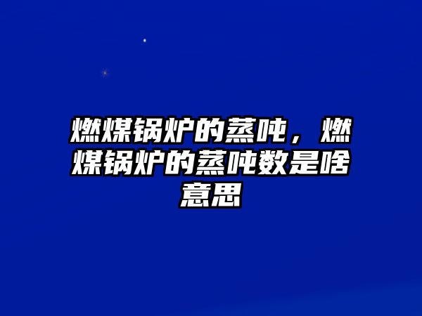 燃煤鍋爐的蒸噸，燃煤鍋爐的蒸噸數是啥意思