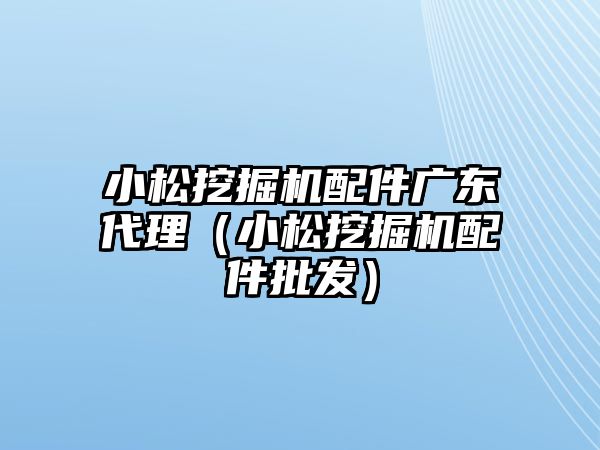 小松挖掘機配件廣東代理（小松挖掘機配件批發）