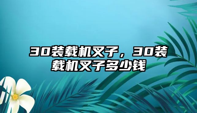 30裝載機叉子，30裝載機叉子多少錢