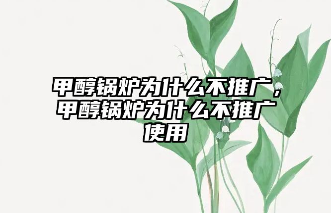 甲醇鍋爐為什么不推廣，甲醇鍋爐為什么不推廣使用