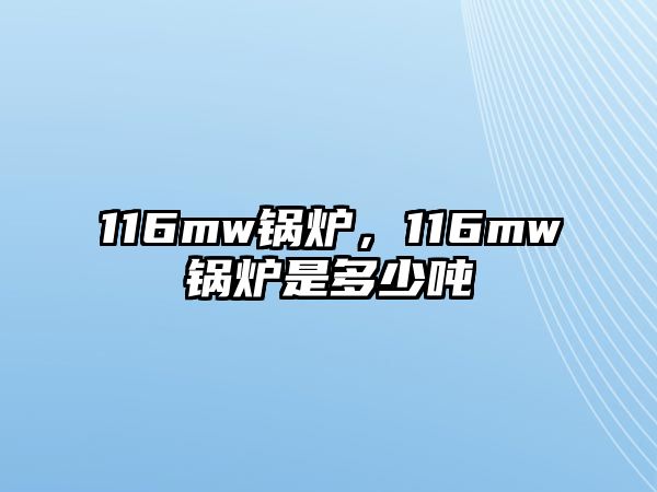 116mw鍋爐，116mw鍋爐是多少噸