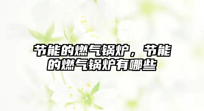 節(jié)能的燃?xì)忮仩t，節(jié)能的燃?xì)忮仩t有哪些