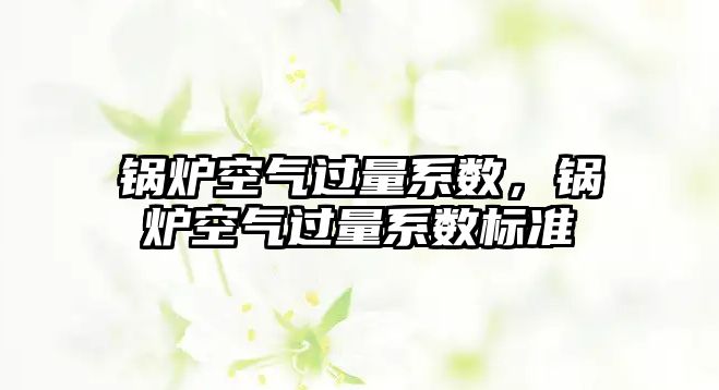 鍋爐空氣過量系數，鍋爐空氣過量系數標準