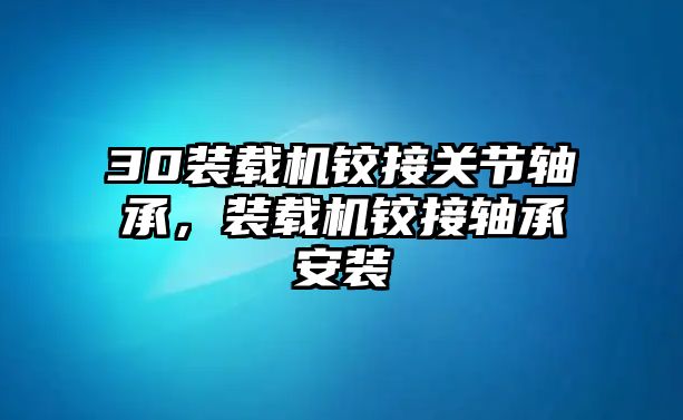 30裝載機鉸接關節軸承，裝載機鉸接軸承安裝