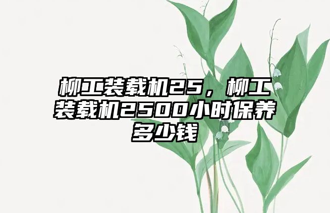 柳工裝載機(jī)25，柳工裝載機(jī)2500小時(shí)保養(yǎng)多少錢(qián)