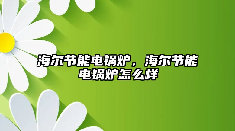 海爾節能電鍋爐，海爾節能電鍋爐怎么樣