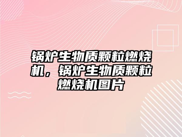 鍋爐生物質顆粒燃燒機，鍋爐生物質顆粒燃燒機圖片