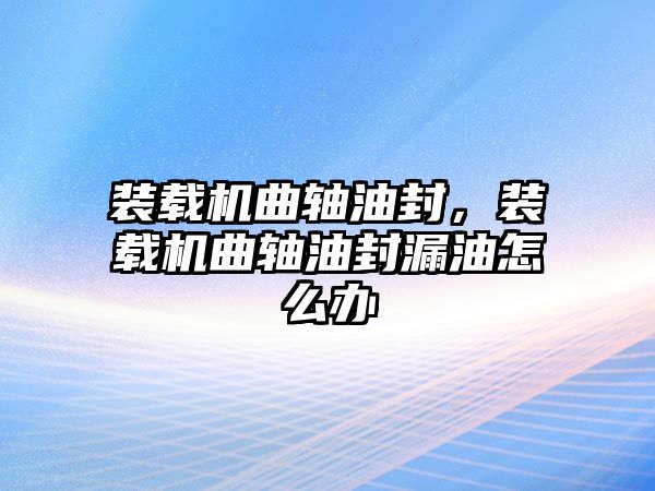 裝載機曲軸油封，裝載機曲軸油封漏油怎么辦