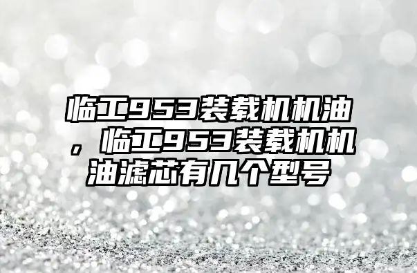 臨工953裝載機機油，臨工953裝載機機油濾芯有幾個型號