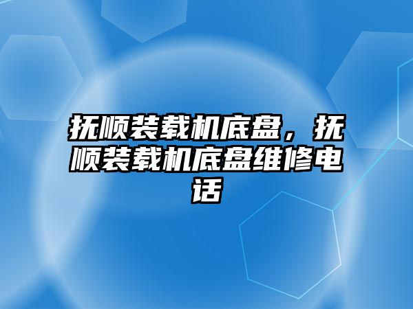 撫順裝載機底盤，撫順裝載機底盤維修電話