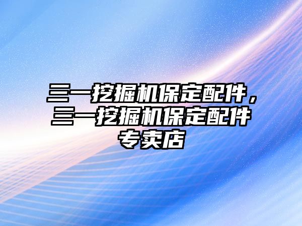 三一挖掘機保定配件，三一挖掘機保定配件專賣店