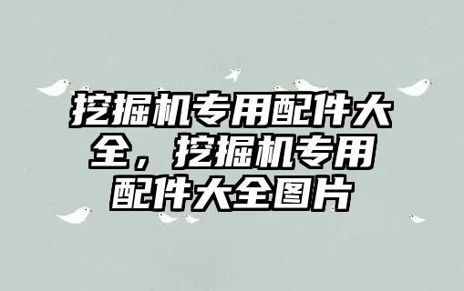 挖掘機專用配件大全，挖掘機專用配件大全圖片