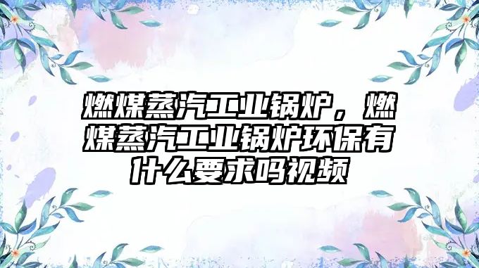 燃煤蒸汽工業(yè)鍋爐，燃煤蒸汽工業(yè)鍋爐環(huán)保有什么要求嗎視頻