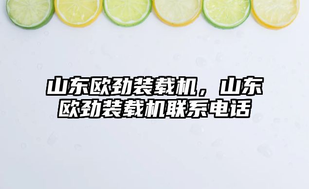 山東歐勁裝載機(jī)，山東歐勁裝載機(jī)聯(lián)系電話(huà)