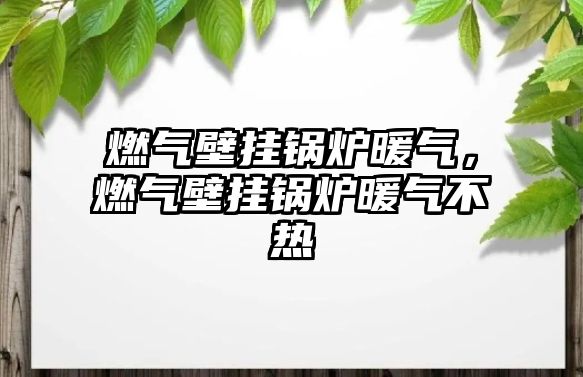 燃氣壁掛鍋爐暖氣，燃氣壁掛鍋爐暖氣不熱