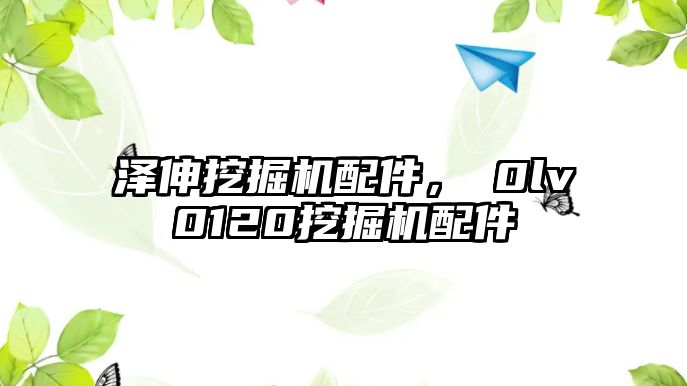 澤伸挖掘機配件，ⅴ0lv0120挖掘機配件