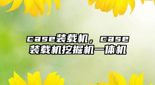 case裝載機，case裝載機挖掘機一體機