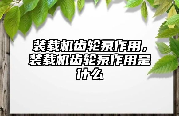 裝載機齒輪泵作用，裝載機齒輪泵作用是什么