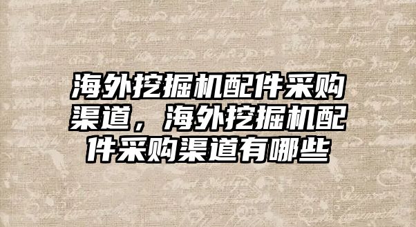 海外挖掘機配件采購渠道，海外挖掘機配件采購渠道有哪些