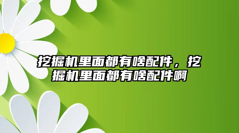 挖掘機里面都有啥配件，挖掘機里面都有啥配件啊