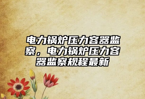 電力鍋爐壓力容器監察，電力鍋爐壓力容器監察規程最新