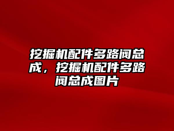 挖掘機配件多路閥總成，挖掘機配件多路閥總成圖片