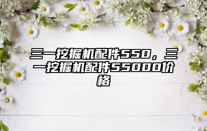 三一挖掘機配件550，三一挖掘機配件55000價格