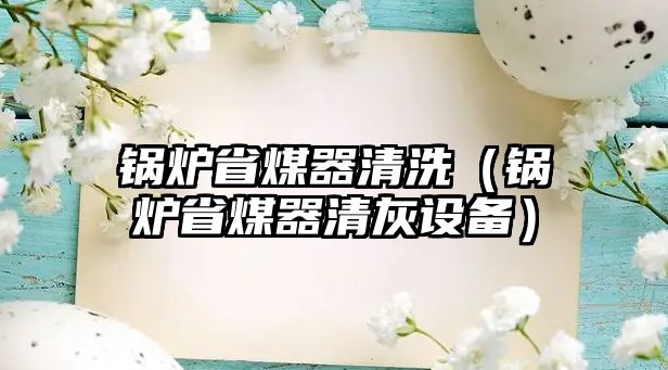 鍋爐省煤器清洗（鍋爐省煤器清灰設備）