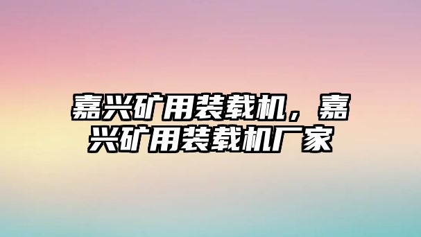 嘉興礦用裝載機，嘉興礦用裝載機廠家