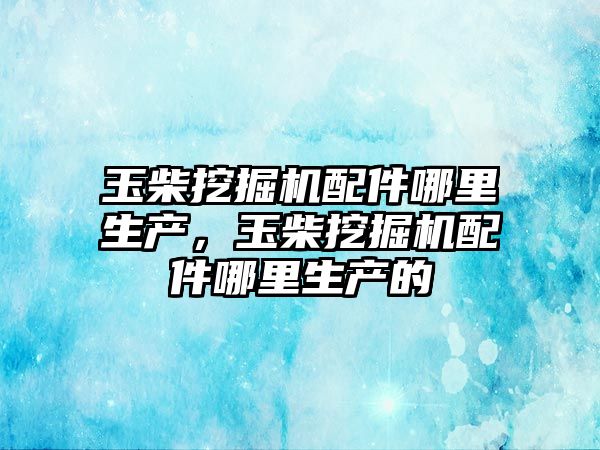 玉柴挖掘機配件哪里生產，玉柴挖掘機配件哪里生產的