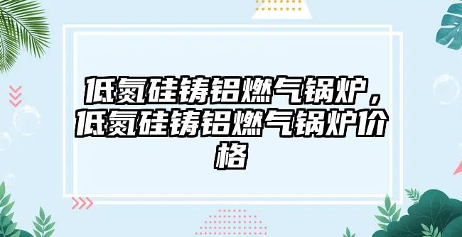 低氮硅鑄鋁燃氣鍋爐，低氮硅鑄鋁燃氣鍋爐價格