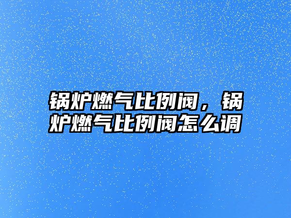 鍋爐燃氣比例閥，鍋爐燃氣比例閥怎么調