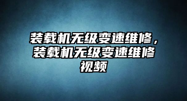 裝載機無級變速維修，裝載機無級變速維修視頻