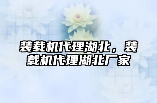 裝載機代理湖北，裝載機代理湖北廠家