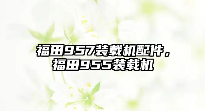 福田957裝載機配件，福田955裝載機