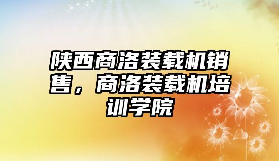 陜西商洛裝載機銷售，商洛裝載機培訓學院