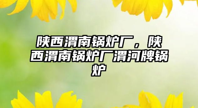 陜西渭南鍋爐廠，陜西渭南鍋爐廠渭河牌鍋爐