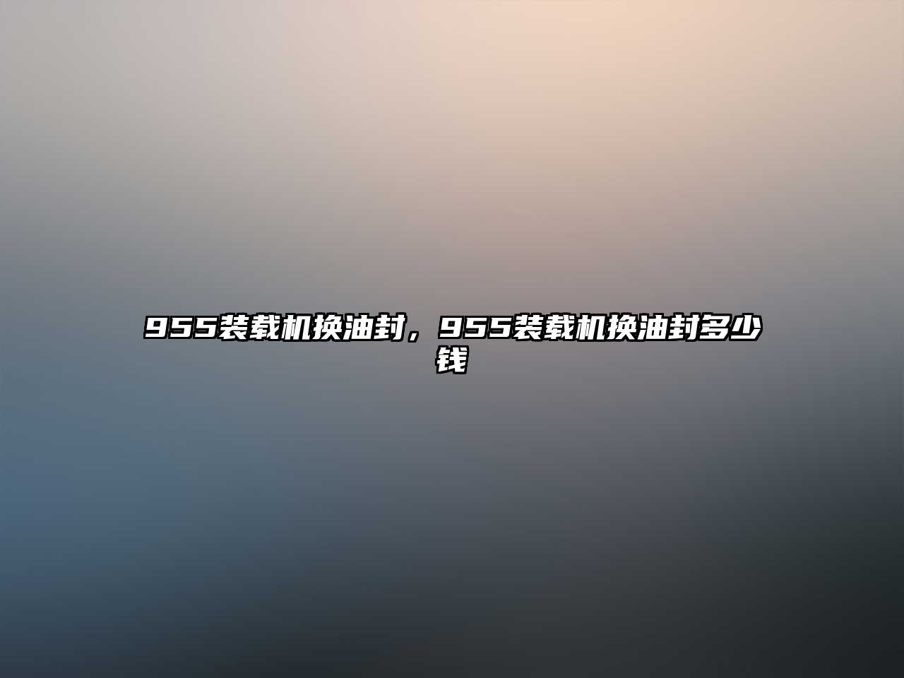 955裝載機換油封，955裝載機換油封多少錢