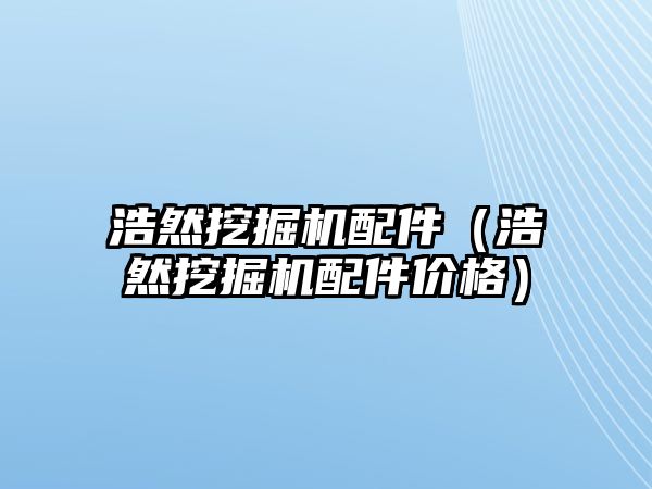 浩然挖掘機配件（浩然挖掘機配件價格）