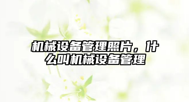 機械設(shè)備管理照片，什么叫機械設(shè)備管理