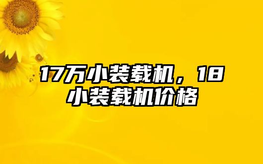 17萬小裝載機，18小裝載機價格