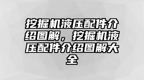 挖掘機(jī)液壓配件介紹圖解，挖掘機(jī)液壓配件介紹圖解大全