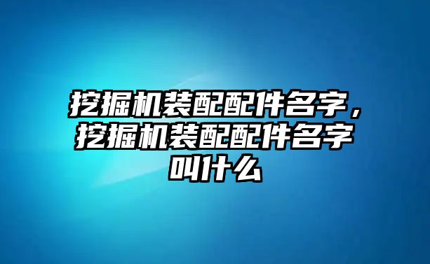 挖掘機裝配配件名字，挖掘機裝配配件名字叫什么