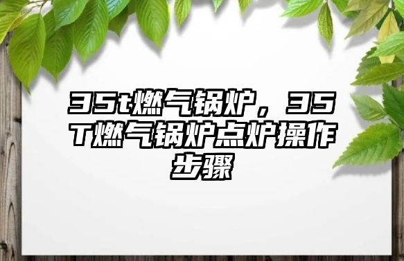 35t燃?xì)忮仩t，35T燃?xì)忮仩t點(diǎn)爐操作步驟