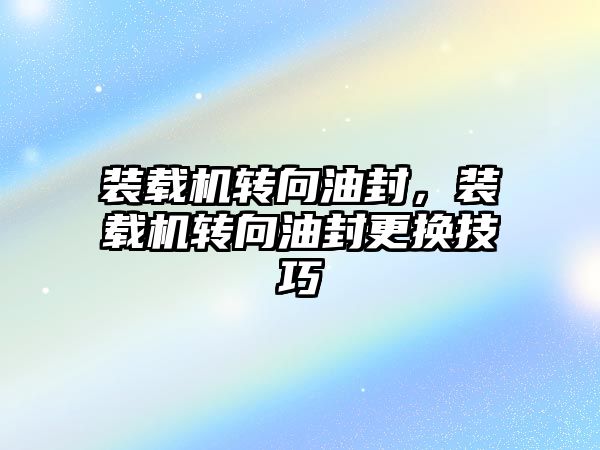 裝載機轉向油封，裝載機轉向油封更換技巧