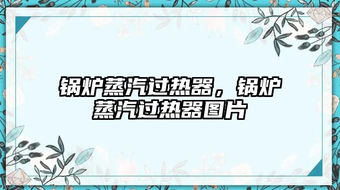 鍋爐蒸汽過(guò)熱器，鍋爐蒸汽過(guò)熱器圖片