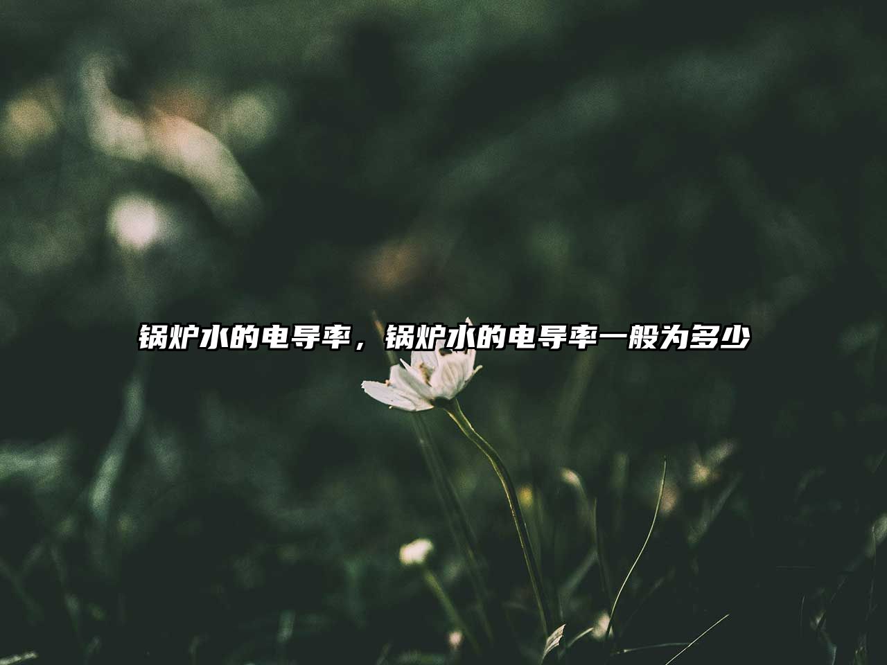 鍋爐水的電導(dǎo)率，鍋爐水的電導(dǎo)率一般為多少