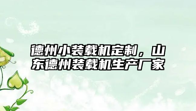 德州小裝載機定制，山東德州裝載機生產廠家